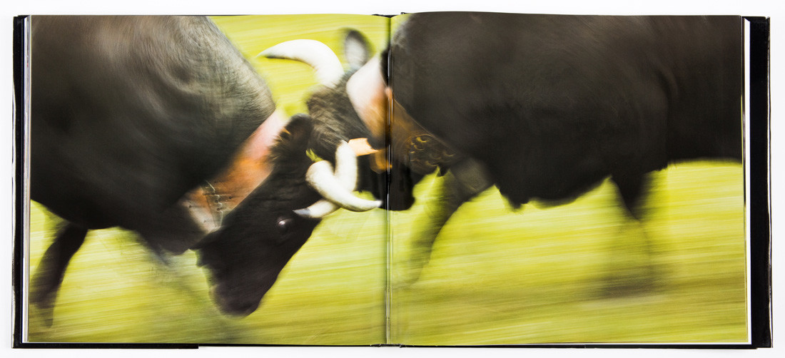 Combat Final, Musumeci 2007, photographs by Stefano Torrione, text by Daniela Palazzoli