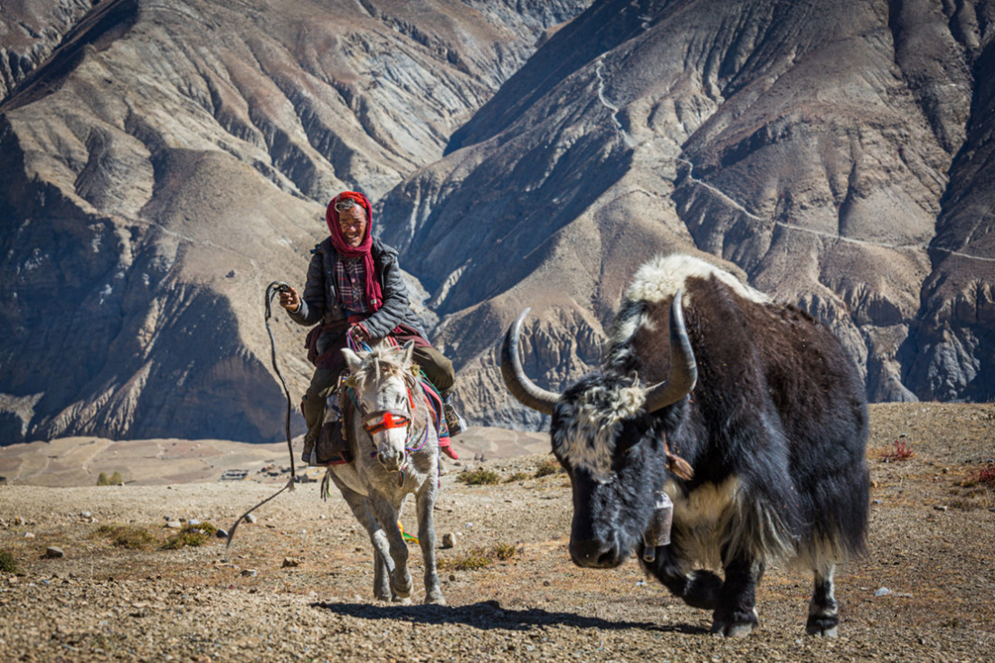 Nepal Dolpo