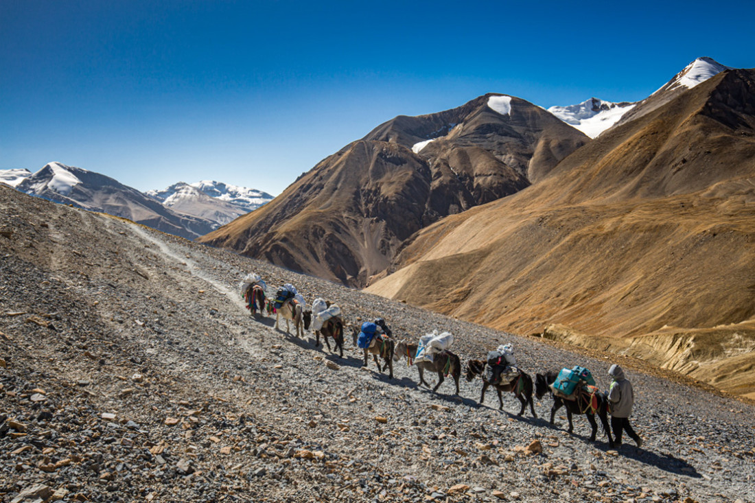 Nepal Dolpo